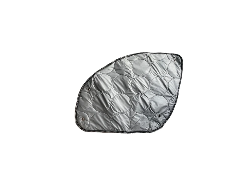 My project-1 (2).png