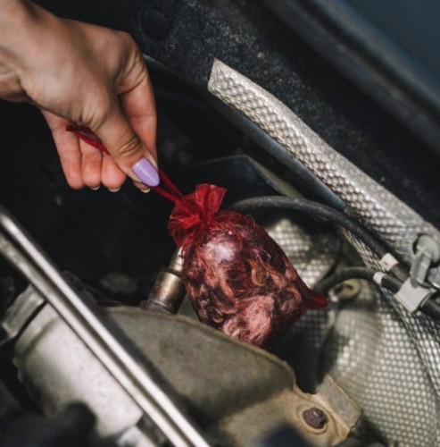 na kuny.jpg